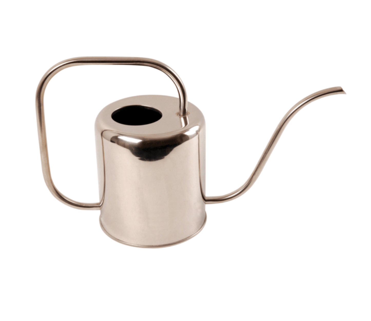 Indoor Stainless Steel Watering Can