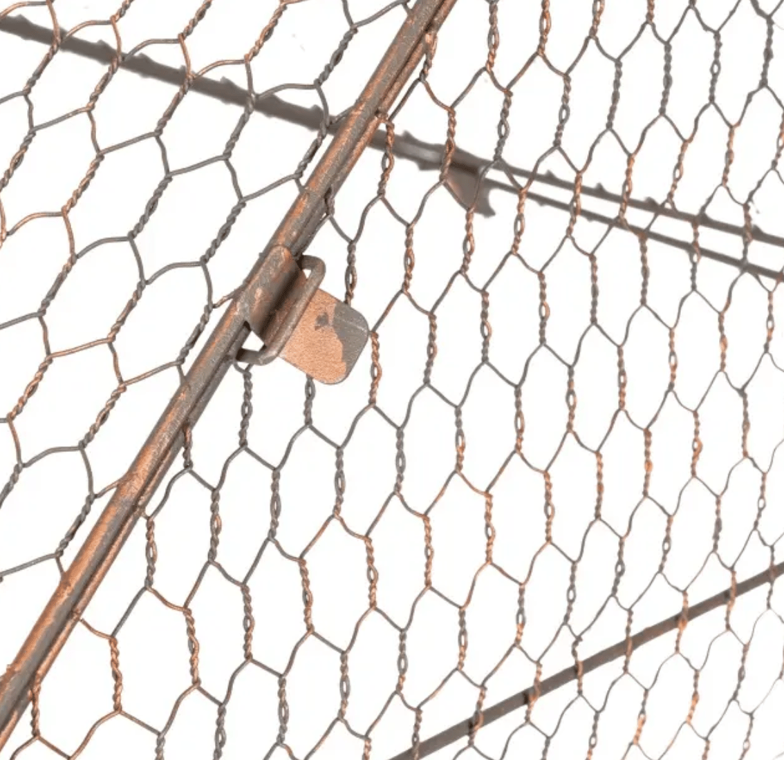 Wire House Cloche