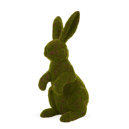 Moss Rabbit