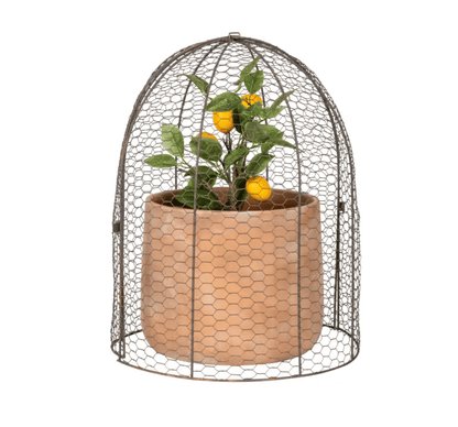Large Garden Cloche Dome