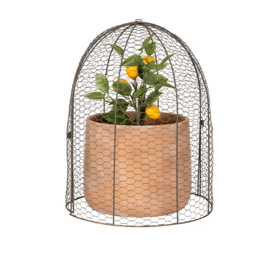 Large Garden Cloche Dome