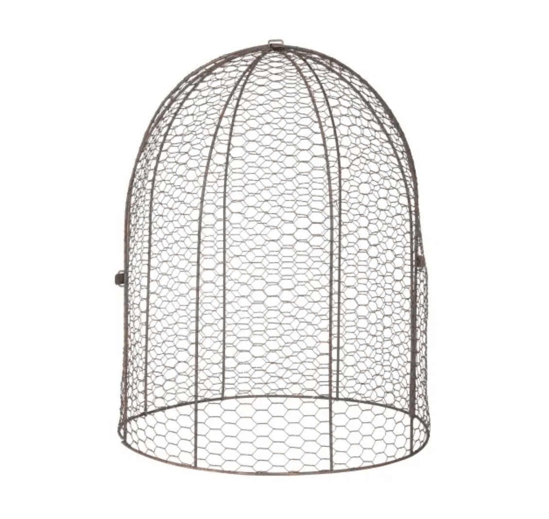 Large Garden Cloche Dome