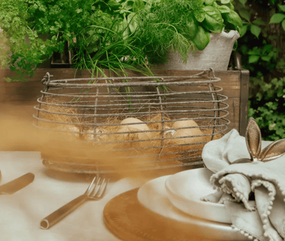 Wire Oval Egg Basket