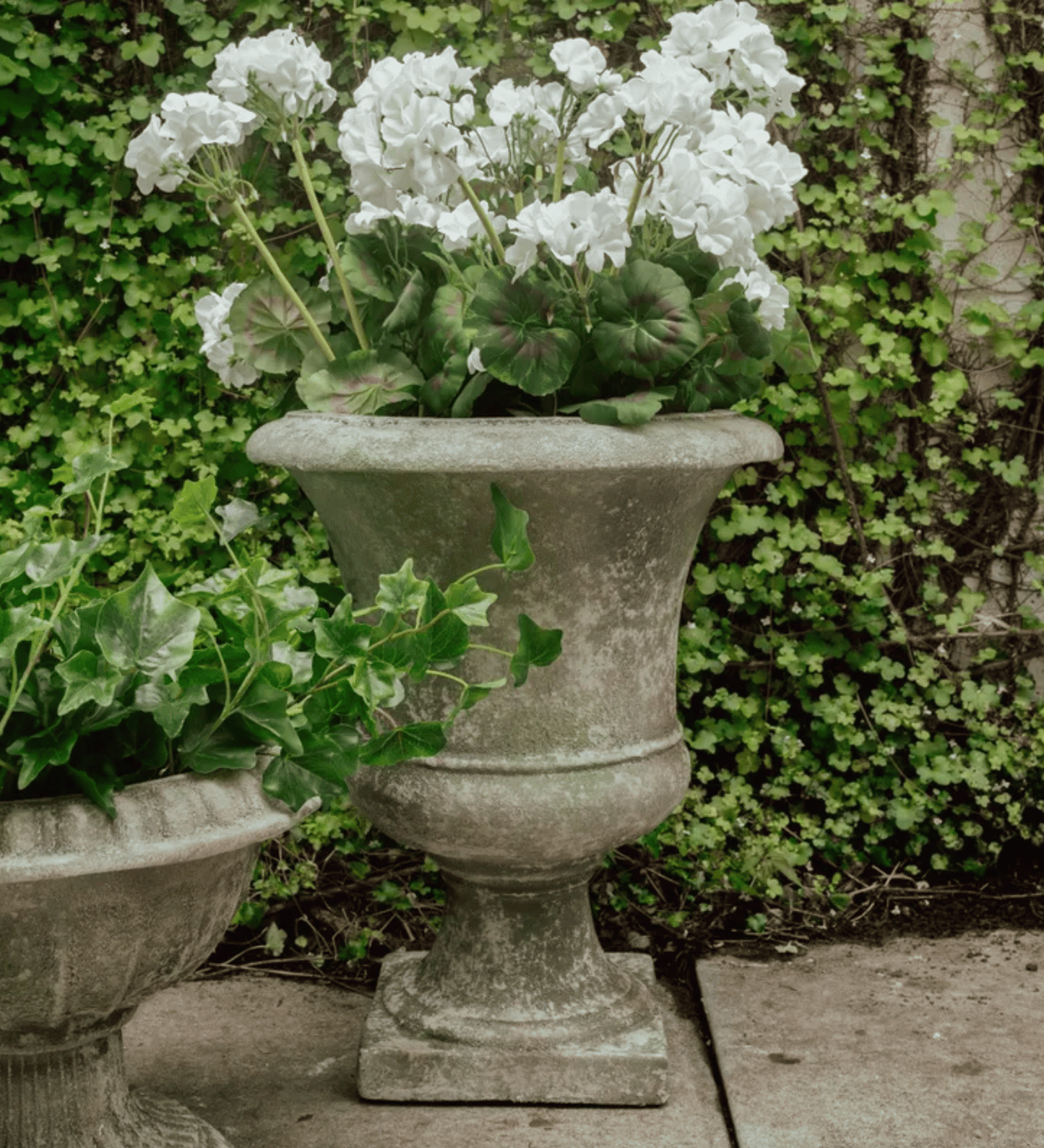 Williamson Urn