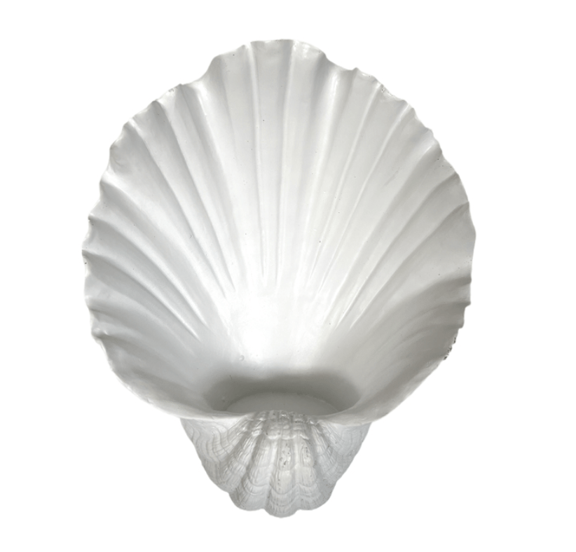 Oyster Wall Candle Holder