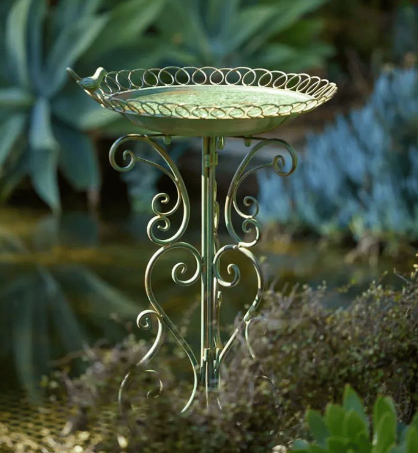 Orangerie Bird Bath
