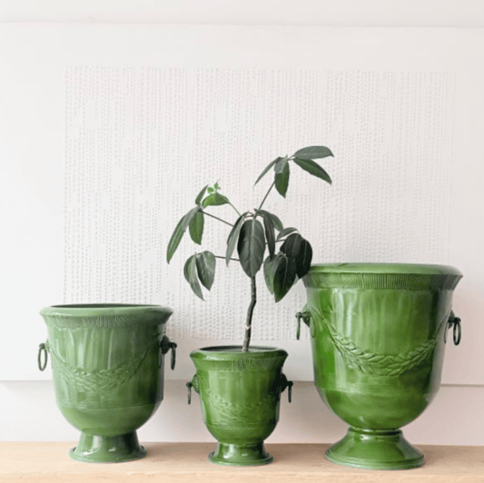 Verdant Laurel Urn Planters