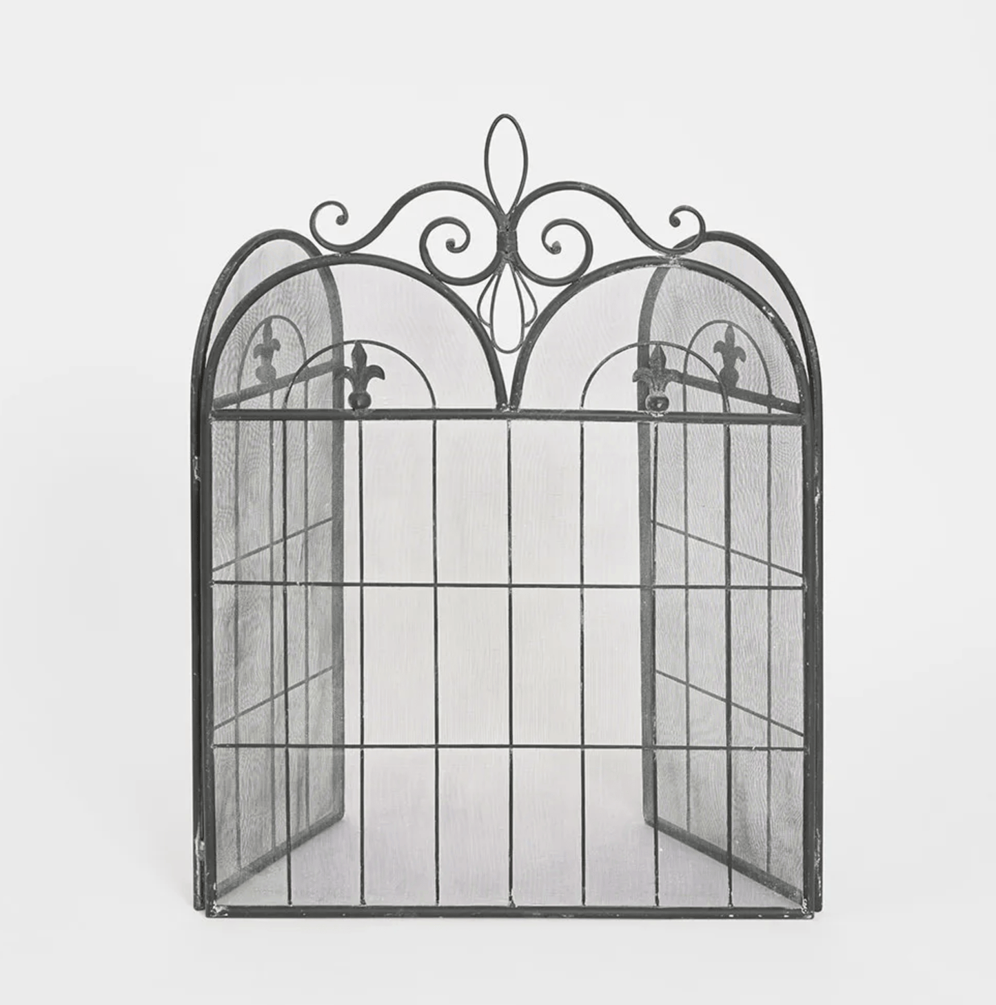 Fleur de Lys Firescreen - Black