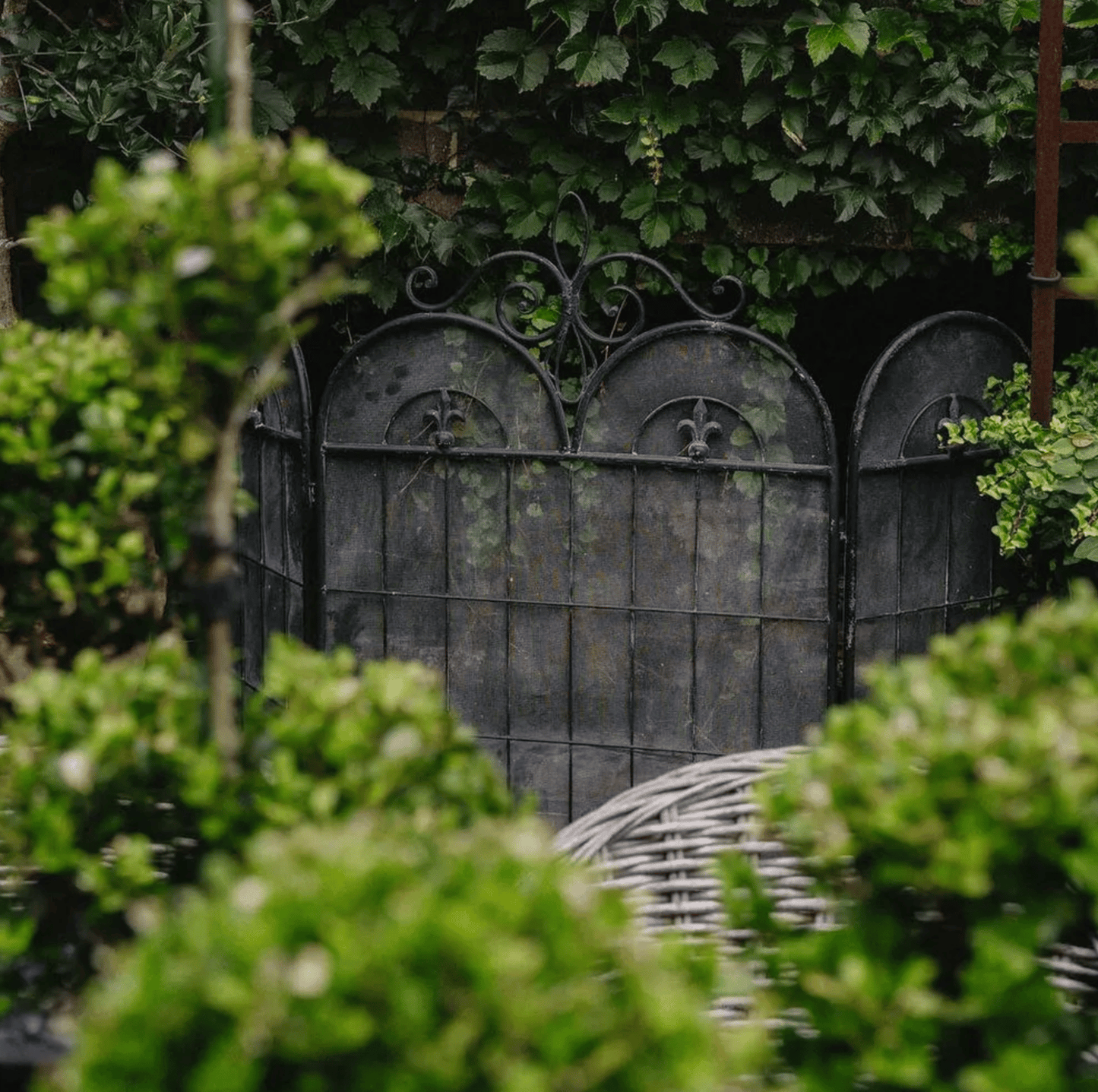 Fleur de Lys Firescreen - Black