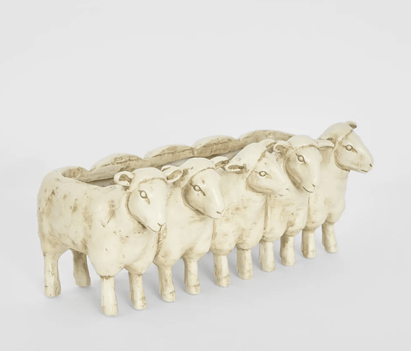 Grazer sheep planter - HAROLDS