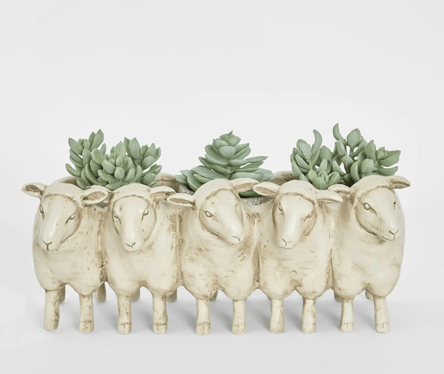 Grazer Sheep Planter