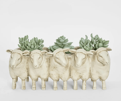 Grazer Sheep Planter