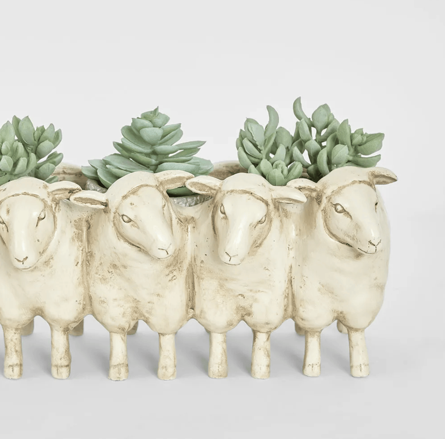 Grazer Sheep Planter