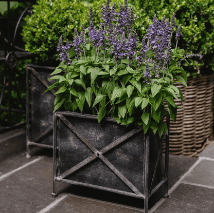 Antique Zinc Planter Set