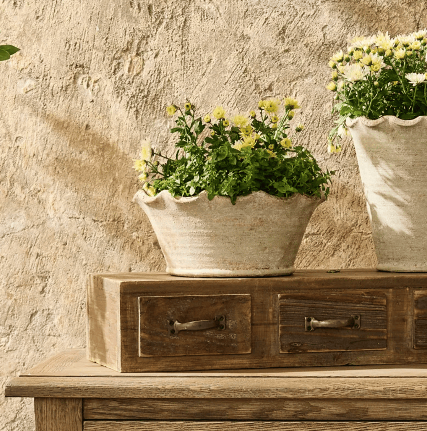 Scalloped Wave Planter Bowl