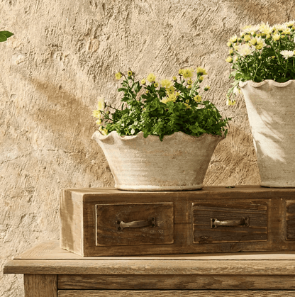 Scalloped Wave Planter Bowl