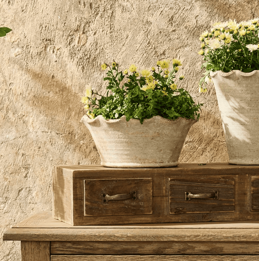Scalloped Wave Planter Bowl