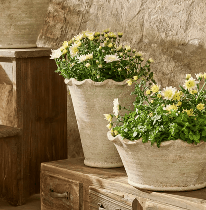 Scalloped Wave Planter Vase