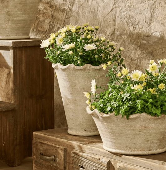 Scalloped Wave Planter Vase