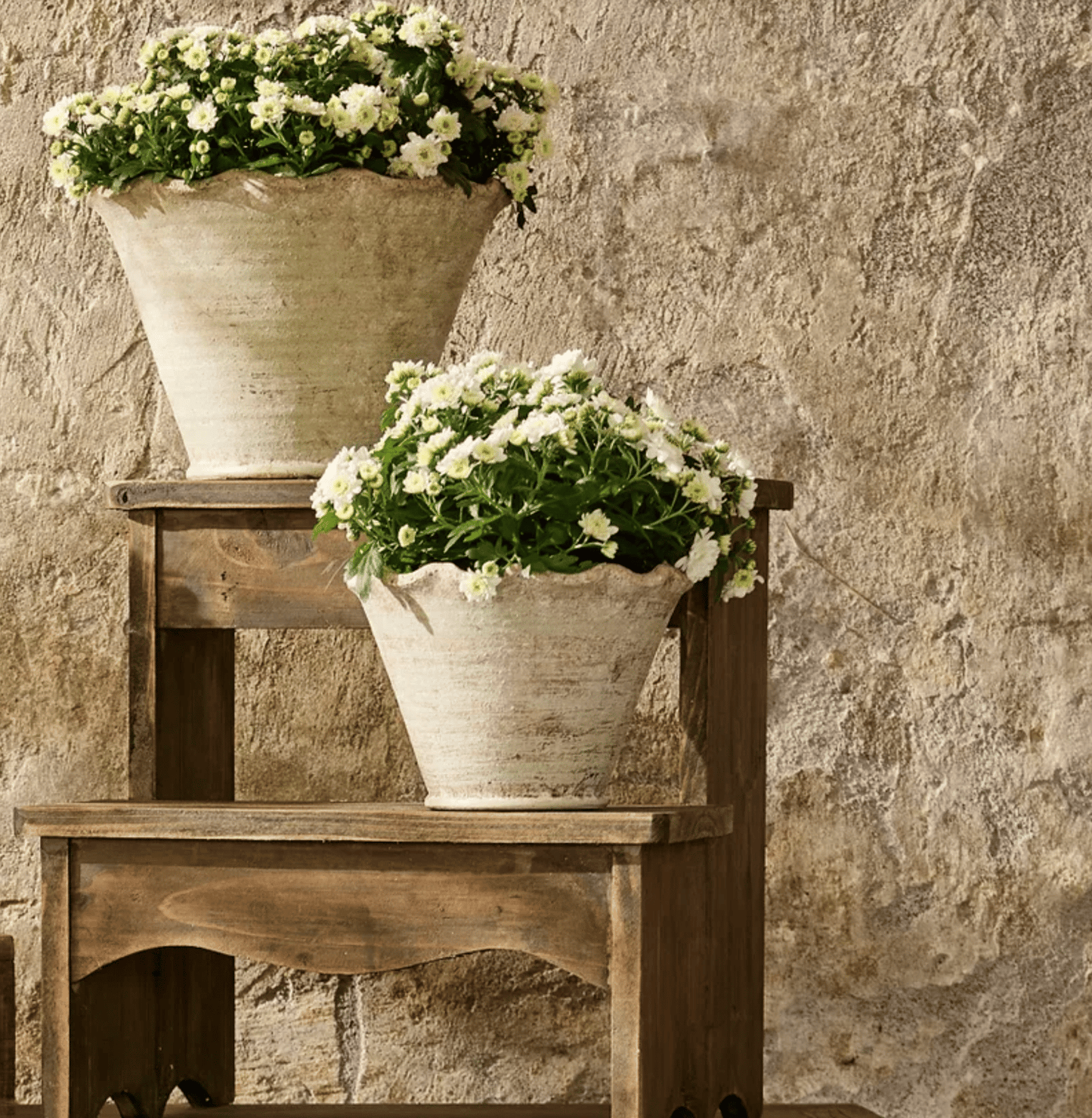 Scalloped Wave Planter Pot