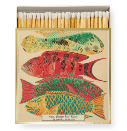 Great Barrier Reef Fish Square Matchbox