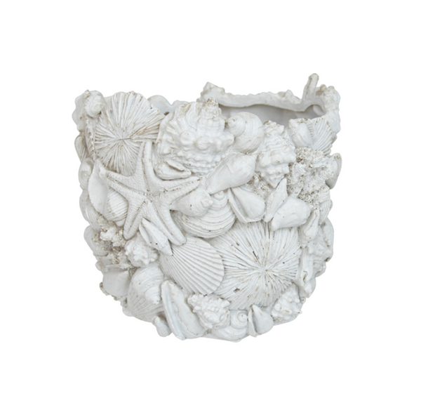 Barnacle Shell Pot