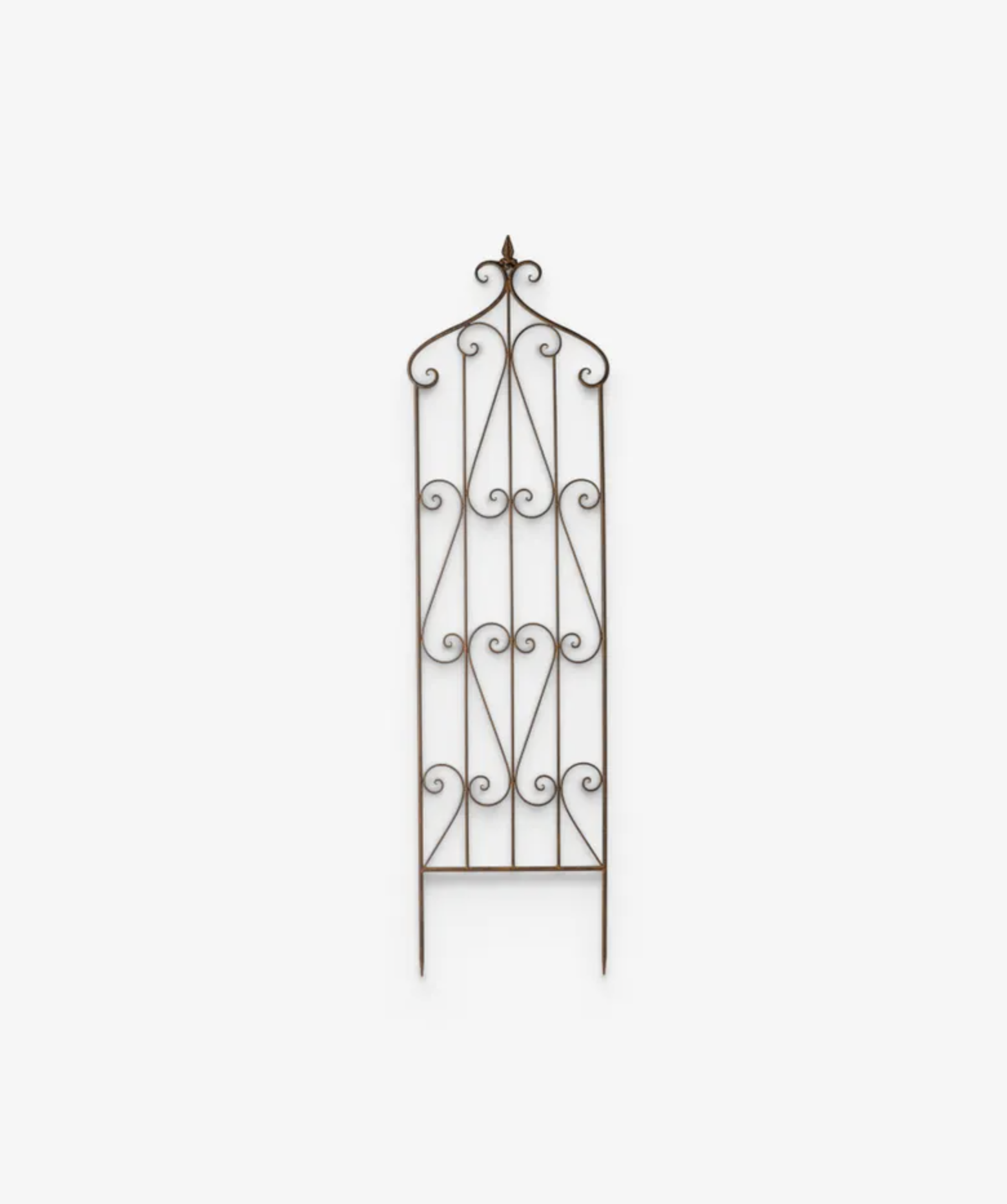 A decorative wrought iron garden trellis with an arched top and scrollwork details, shown against a plain light gray background.