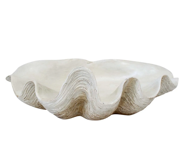 Small Cream Clam Shell