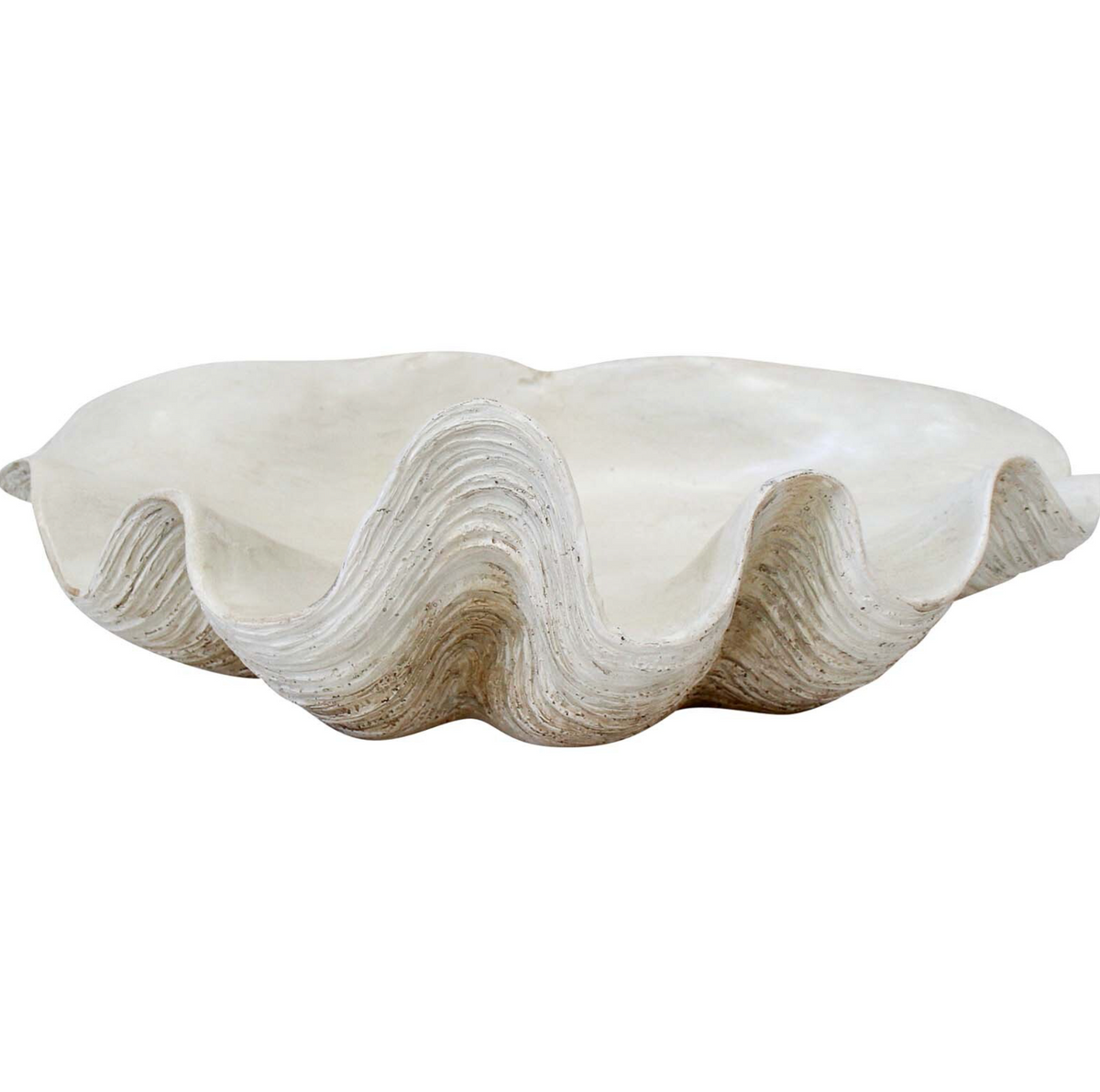 Small Cream Clam Shell