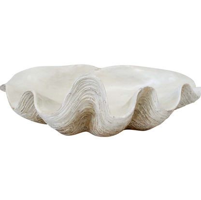 Small Cream Clam Shell