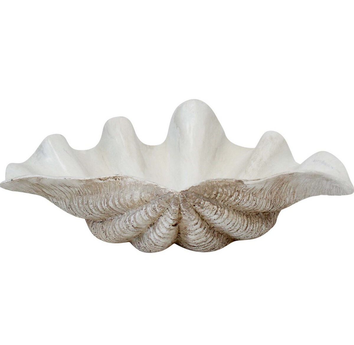 Small Cream Clam Shell
