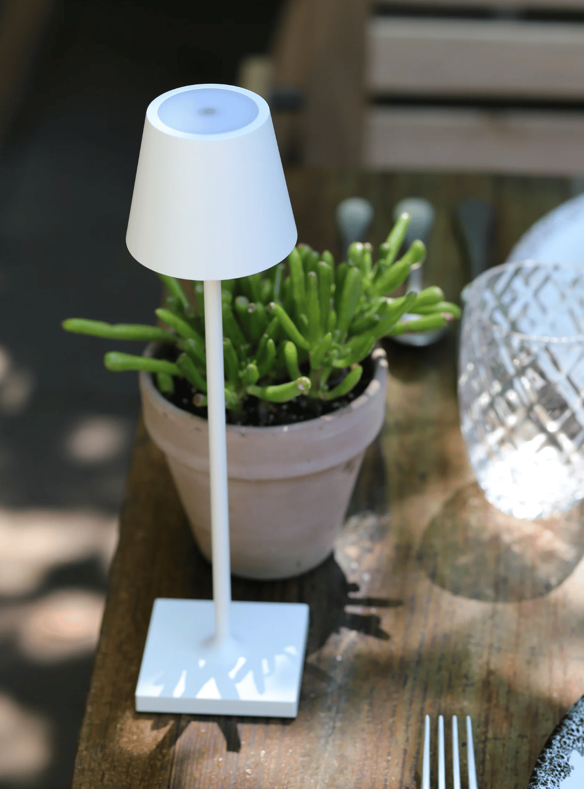 Harolds Signature Mini Cordless Lamp