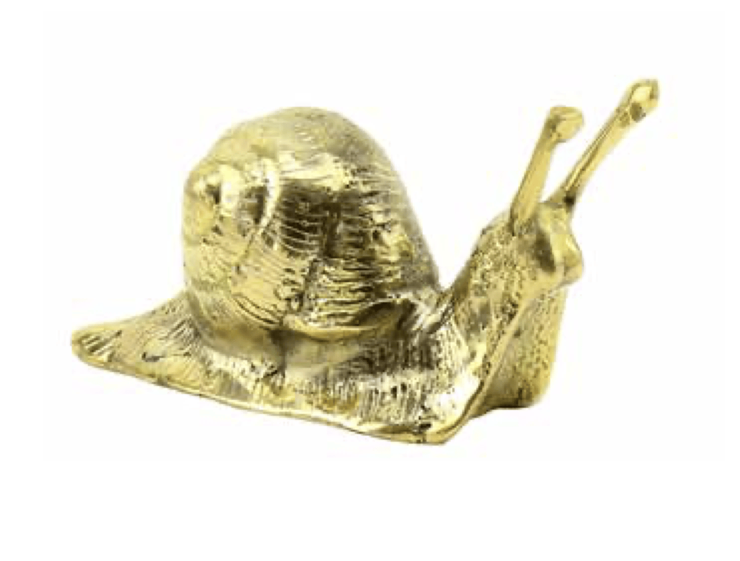 Brass Garden Snail