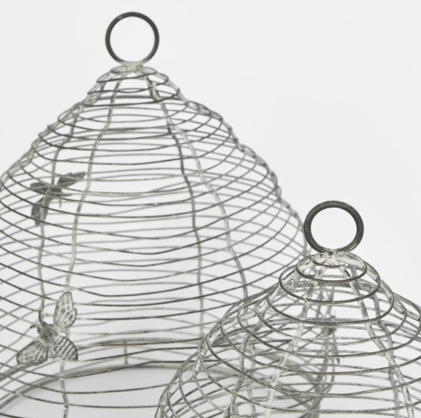 Bee Garden Cloche - Zinc
