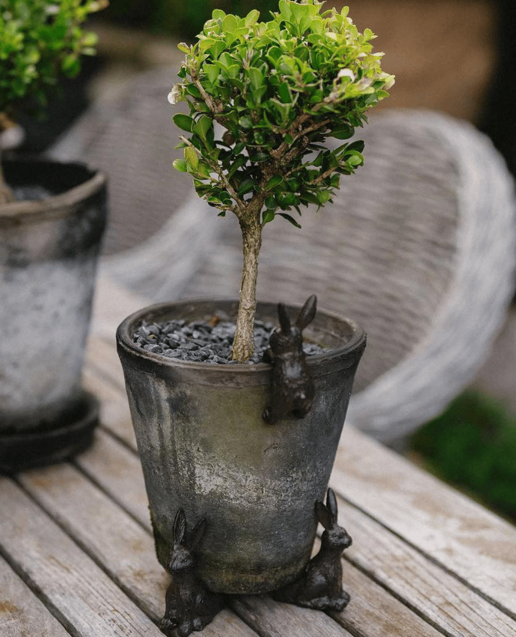 Garden Hare Pot Hugger