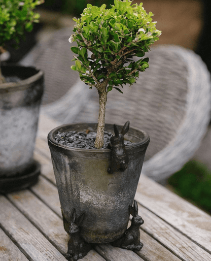 Garden Hare Pot Hugger