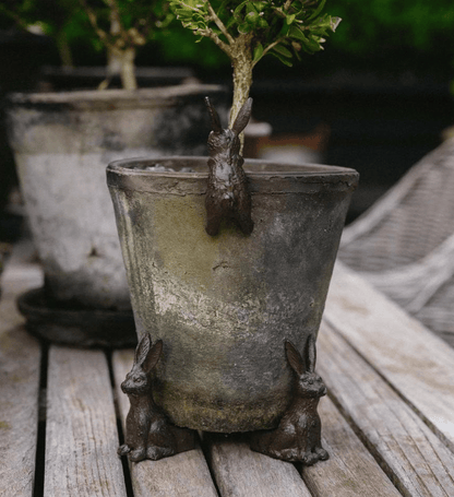 Garden Hare Pot Hugger