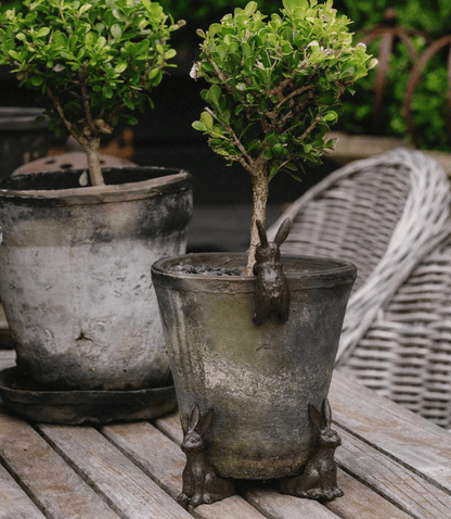 Garden Hare Pot Hugger