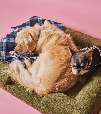 Olive Boucle Dog Bed