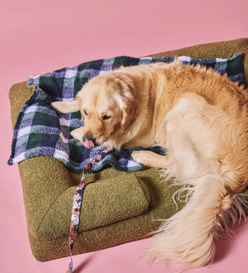 Olive Boucle Dog Bed