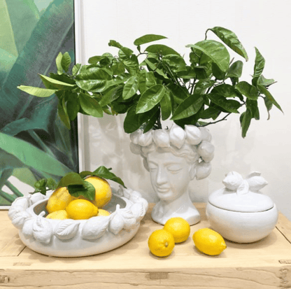 Citrus Lemon Bowl