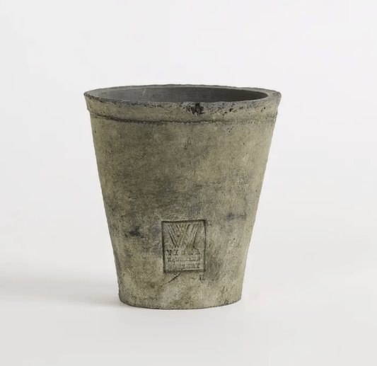 Delphinium Grey Pot