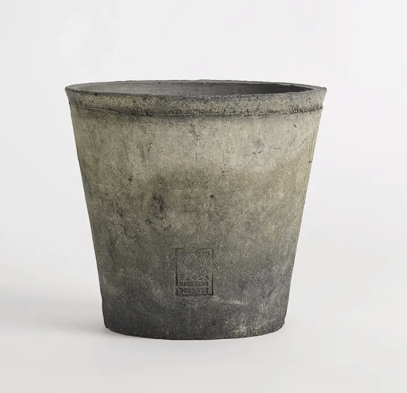Delphinium Grey Pot