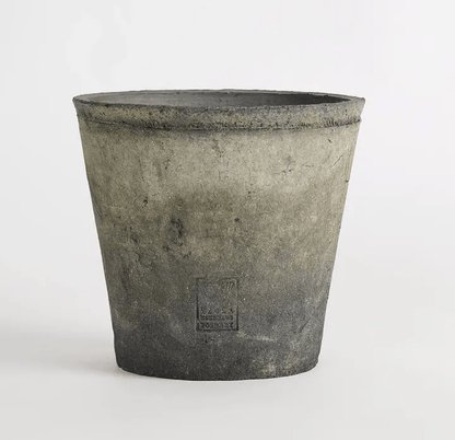 Delphinium Grey Pot