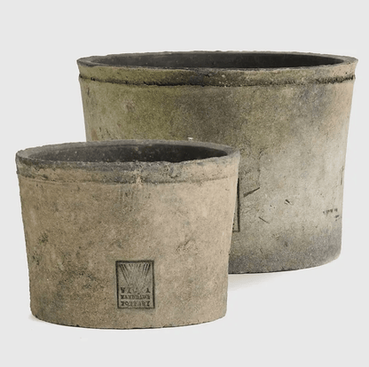 Foxglove Grey Pot