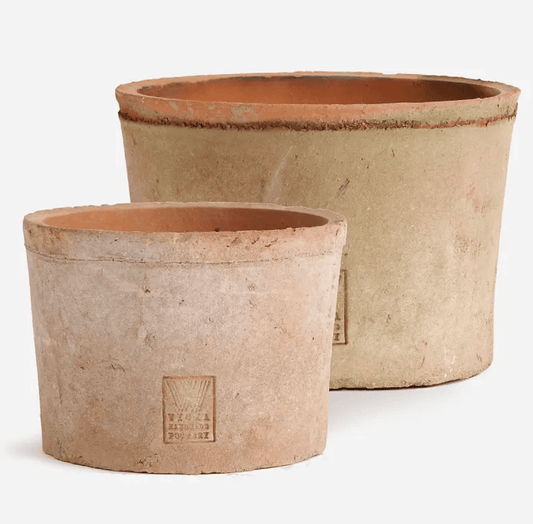Foxglove Terracotta Pot
