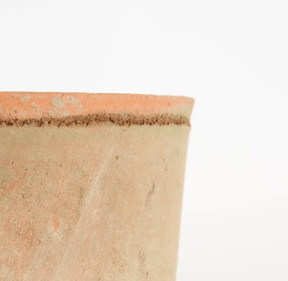 Foxglove Terracotta Pot