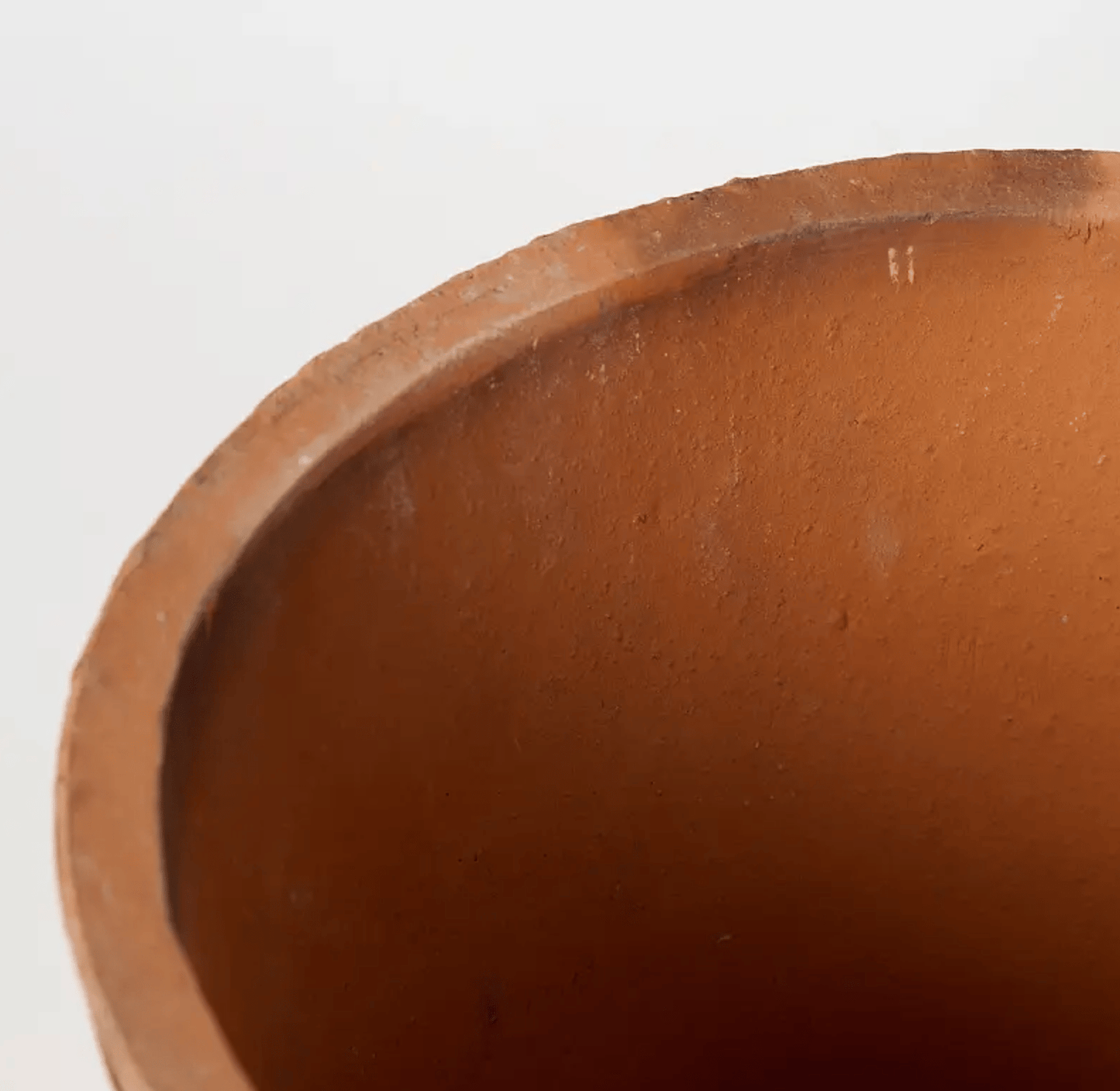 Foxglove Terracotta Pot