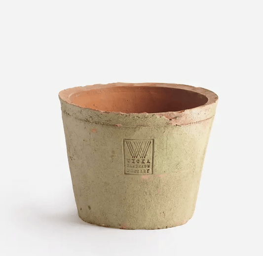 Daisy Terracotta Pot