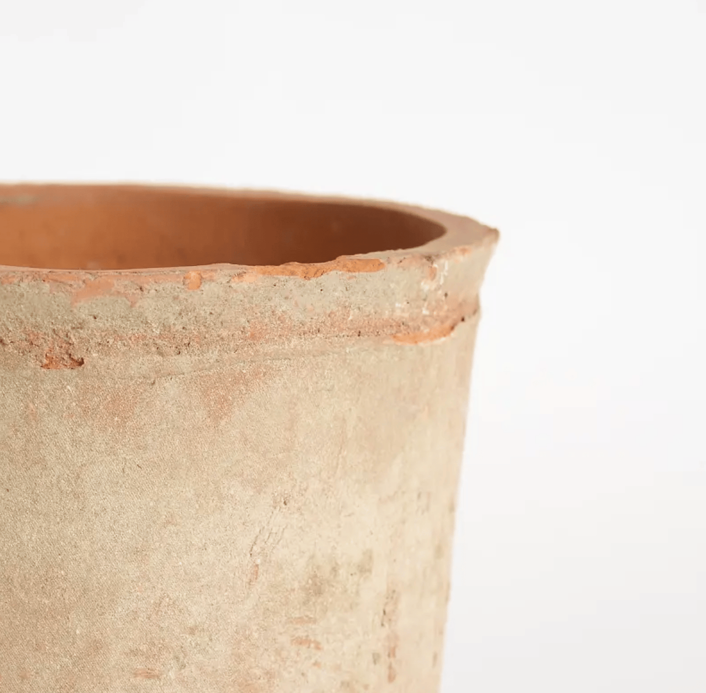 Pansy Terracotta Pot